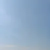 amirr4601