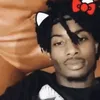 yaanmuselaexb