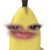 nssprvv_