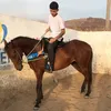 nauan_oliveiraa2