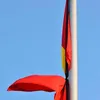 tamanh9193