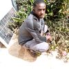 davidelvisngoygmail.com