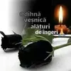 lilianagraur348