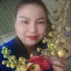 tiktok.com.www11