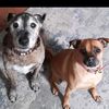 mariecarruthers1