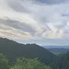 narachotonha