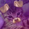 heidy.4zaw