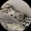 hutieumibovienn