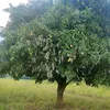 user5640114004145
