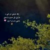 qataralnadaa511