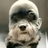 tenho_esquizofrenia0