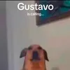 pieter_3210