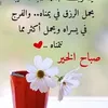 55mahmudd