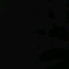 user6002061117
