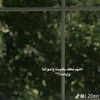 amiraabdelnaby82
