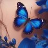 🦋💙