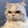 caoiuday_999