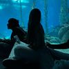 .carol.rlx