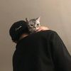 mohtarum_786