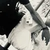 tavaressllv