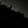 .glzrms07_