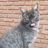 julies1234567