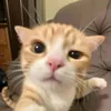 jackzinho23