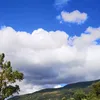 babinocaro