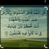 alkhalabu_rajab