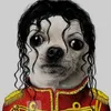 mrodrigues060