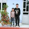 liem.2502