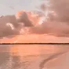 _lynh__._