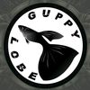 guppylobe