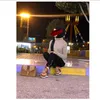 19_lno0