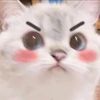 Twice_wifey