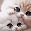 _gilpy67