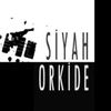 siyah_orkide.12