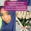 dahlia6988