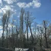 135790_0225