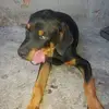 dyq22f0whe3u