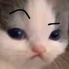 nhin_gie_flo_di