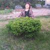 user9336140303618