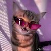 edrin_07
