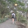hienhd34