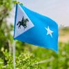 hiildarwiish143