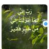 usereyayoussef