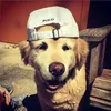 timtamiscoolbutimcooler