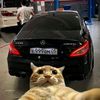 asror_4272