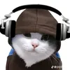 soicodoc689