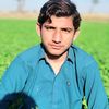 abassbaloch522